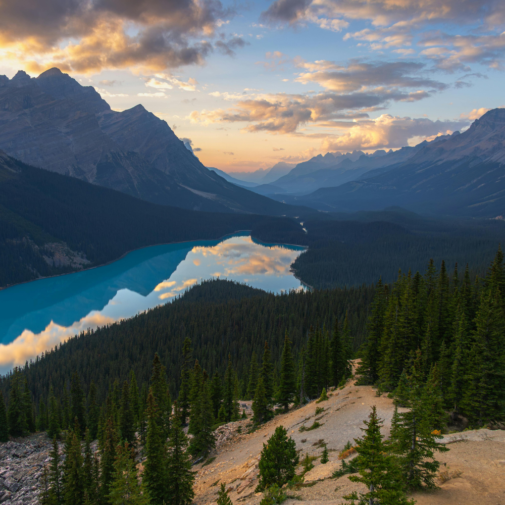 đầu tư quốc tịch Thổ Nhĩ Kỳ